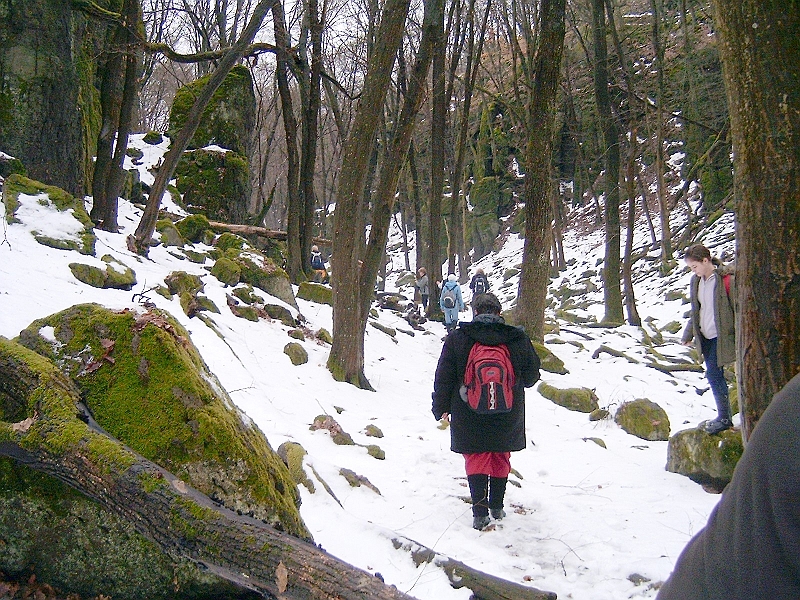 20100220 042.jpg